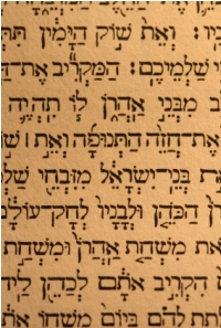 Hebrew Text