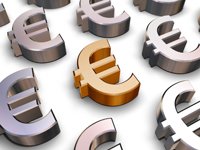 The Euro and the European Union